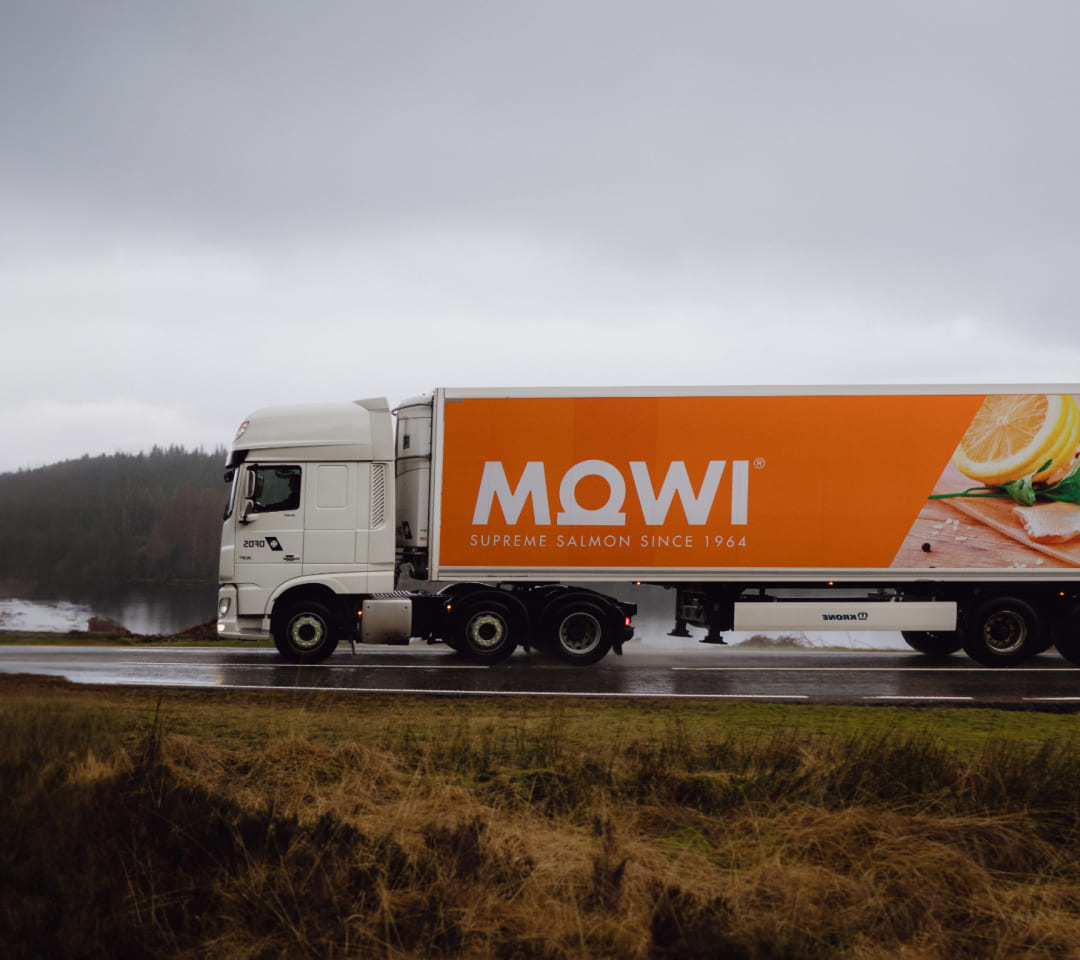 MOWI Atlantic Salmon — Whole Gutted, Head On