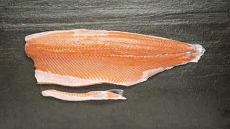 MOWI Salmon Fillet Trim C