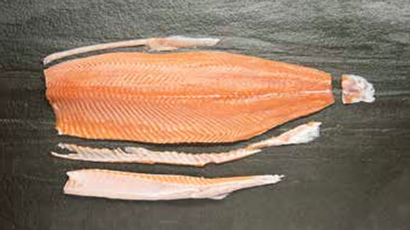 MOWI Salmon Fillet Trim D — Bellies Off